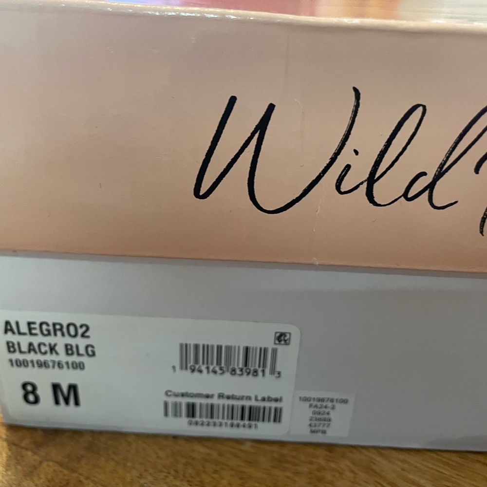 Wild Pair Black Alegro2 Footwear